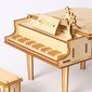 Medinis 3D galvosūkis Robotime Grand Piano цена и информация | Konstruktoriai ir kaladėlės | pigu.lt