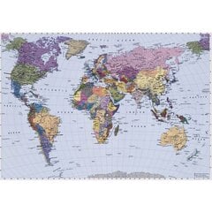 Fototapetas World Map цена и информация | Фотообои с инструментом и клеем - Бежевые листья эвкалипта, 400x280 см | pigu.lt