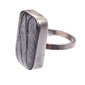 Sidabrinis žiedas su pusbrangiu akmeniu Zebras kaina ir informacija | Žiedai | pigu.lt