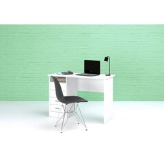 Письменный стол Functionplus, белый цена и информация | Компьютерные, письменные столы | pigu.lt