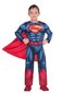 Supermeno kostiumas vaikams kaina ir informacija | Karnavaliniai kostiumai | pigu.lt