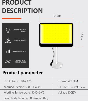 LED prožektorius, 12V kaina ir informacija | Žibintai ir prožektoriai | pigu.lt