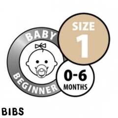 Čiulptukai BIBS 2 vnt. Nordic Mint/Forest Lake 0-6 mėn. kaina ir informacija | BIBS Vaikams ir kūdikiams | pigu.lt