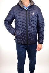Куртка мужская Freestep 041 big, синяя цена и информация | Мужские куртки | pigu.lt