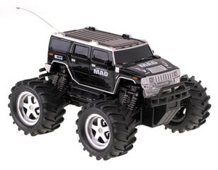 Радиоуправляемая машина, черная, 3 года + цена и информация | Игрушки для мальчиков | pigu.lt