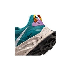 Kedai vyrams Nike Pegasus Trail 3 M DA8697 300 цена и информация | Кроссовки для мужчин | pigu.lt