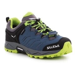 Kedai vaikams Salewa Jr Mtn Trainer 64008 0361 цена и информация | Детская спортивная обувь | pigu.lt