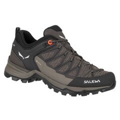 Žygio batai moterims Salewa Mtn Trainer Lite GTX kaina ir informacija | Sportiniai bateliai, kedai moterims | pigu.lt