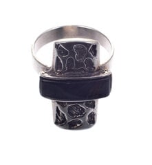 Sidabrinis žiedas su jaspiu Gentis цена и информация | Кольцо | pigu.lt