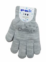 Pašiltintos pirštinės mergaitėms Rak R-012A DB Chillout, šviesiai pilkos kaina ir informacija | Žiemos drabužiai vaikams | pigu.lt