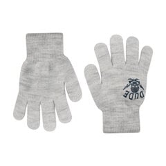 Перчатки утепленные для мальчиков Rak R-012DB Dude, светло-серый цена и информация | Зимняя одежда для детей | pigu.lt