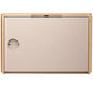 Bang & Olufsen Beosound Level Gold Tone kaina ir informacija | Garso kolonėlės | pigu.lt