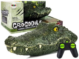Nuotoliniu būdu valdomas krokodilas kaina ir informacija | Žaislai berniukams | pigu.lt