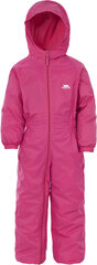 Комбинезон Dripdrop цена и информация | Куртки, пальто для девочек | pigu.lt