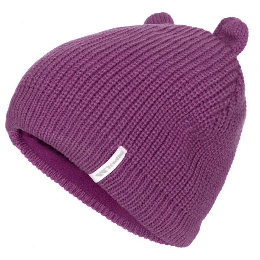 Kepurė vaikams, violetinė kaina ir informacija | Žiemos drabužiai vaikams | pigu.lt