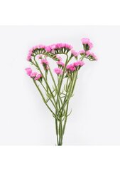 Dirbtinė sausiukų puokštė kaina ir informacija | Dirbtinės gėlės | pigu.lt
