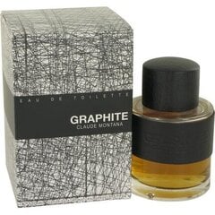 Мужская парфюмерия Graphite Montana EDT (100 мл) цена и информация | Мужские духи | pigu.lt