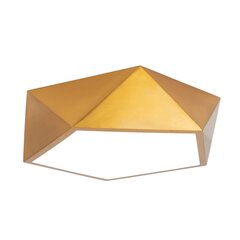 Lubinis šviestuvas Gold Diamond, 30 cm цена и информация | Потолочные светильники | pigu.lt