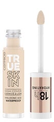 Maskuojamasis kremas Catrice True Skin, 4,5 ml kaina ir informacija | Makiažo pagrindai, pudros | pigu.lt