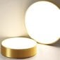 Lubinis šviestuvas Classic Gold, 30 cm kaina ir informacija | Lubiniai šviestuvai | pigu.lt
