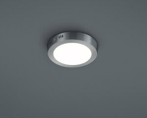 Потолочный светильник Trio Cento, 18 см цена и информация | Потолочные светильники | pigu.lt