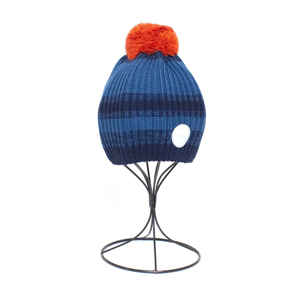 Žieminė kepurė berniukams Reima, mėlyna цена и информация | Žiemos drabužiai vaikams | pigu.lt