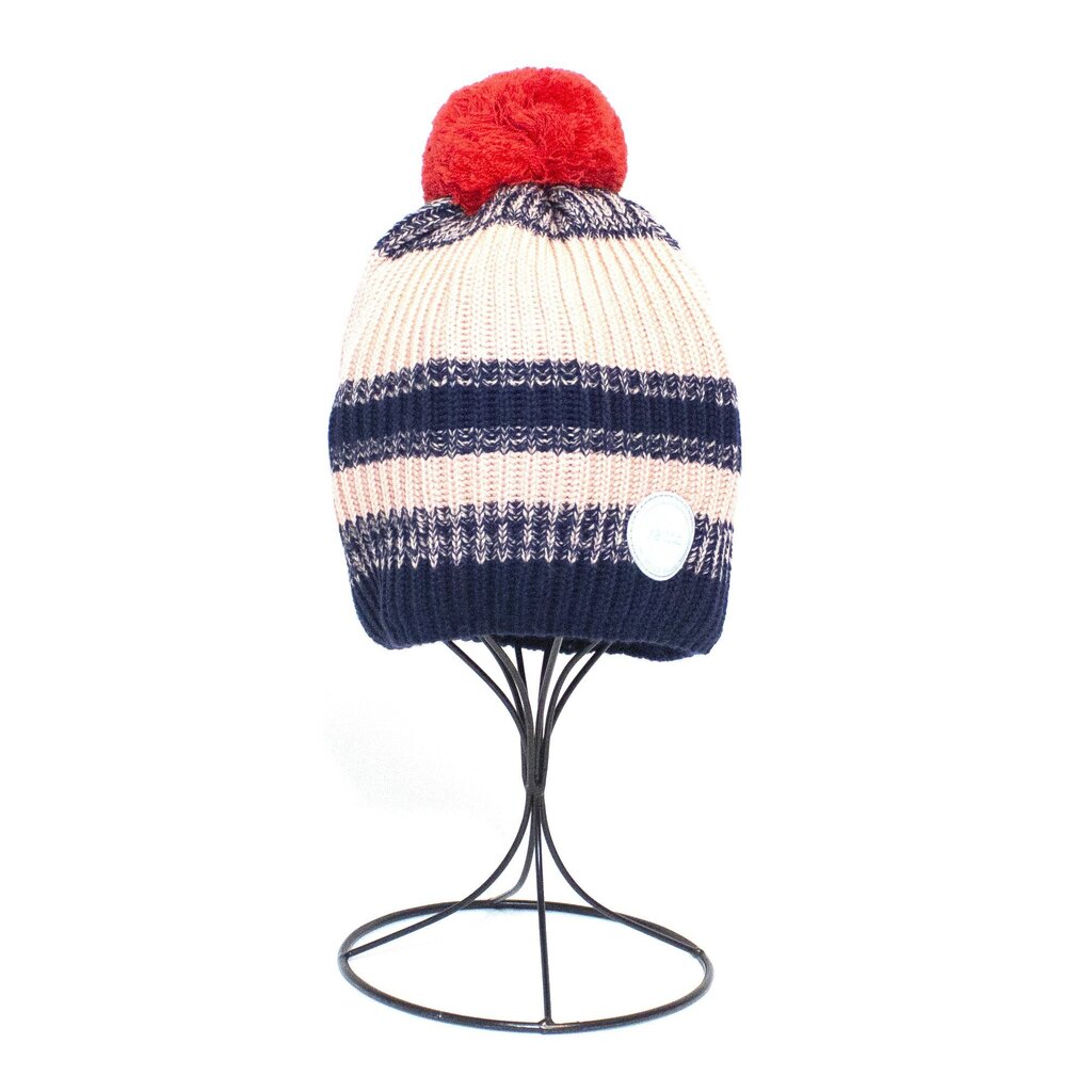 Žieminė kepurė mergaitėms Reima, mėlyna/rausva kaina ir informacija | Žiemos drabužiai vaikams | pigu.lt