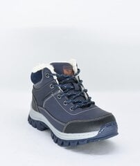 Зимние сапоги для мальчиков, A:B 31994932.36 цена и информация | Детская зимняя обувь | pigu.lt