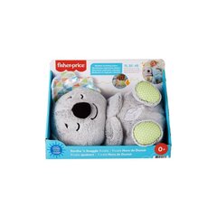 Игрушка для сна Коала Fisher Price цена и информация | Игрушки для малышей | pigu.lt