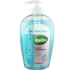 Дезинфицирующий гель для рук Protect+ Replenish Radox, 250 мл цена и информация | Кремы, лосьоны для тела | pigu.lt