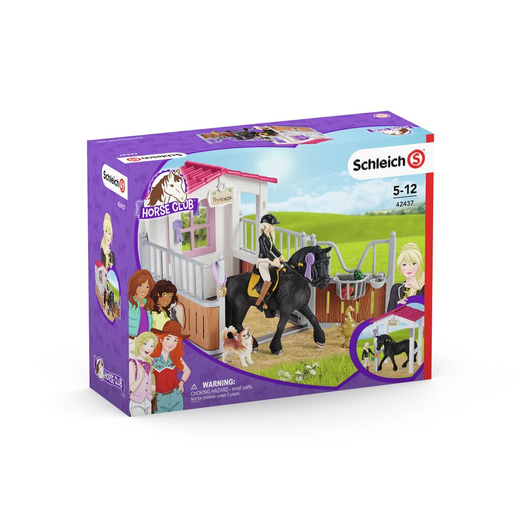 Figūrėlės Žirgų boksas su Tori ir Princese iš „Žirgų klubo“ цена и информация | Žaislai berniukams | pigu.lt