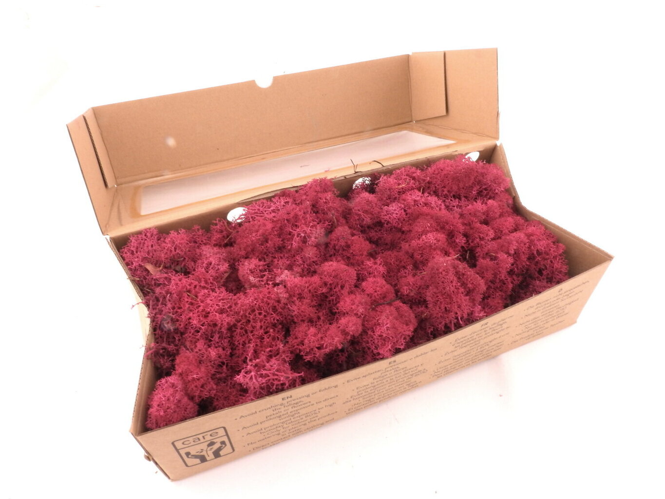 Samana stabilizuota 500 g. Dark pink kaina ir informacija | Miegančios rožės, stabilizuoti augalai | pigu.lt