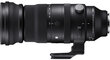 Sigma 150-600mm f/5-6.3 DG DN OS Sports lens for Sony kaina ir informacija | Objektyvai | pigu.lt