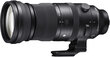 Sigma 150-600mm f/5-6.3 DG DN OS Sports lens for Sony kaina ir informacija | Objektyvai | pigu.lt