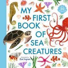 My First Book of Sea Creatures цена и информация | Энциклопедии, справочники | pigu.lt