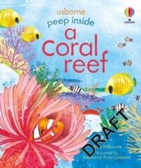 Peep inside a Coral Reef цена и информация | Энциклопедии, справочники | pigu.lt