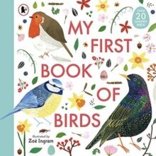 My First Book of Birds цена и информация | Энциклопедии, справочники | pigu.lt