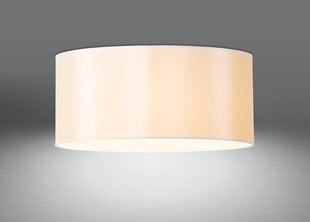 Потолочный светильник Sollux Otto, белый, 70 см цена и информация | Потолочные светильники | pigu.lt