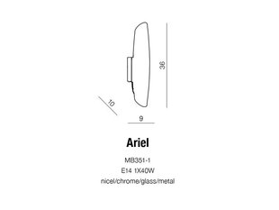 Azzardo настенный светильник Ariel цена и информация | Настенные светильники | pigu.lt