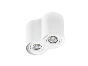 Azzardo потолочный светильник Bross 2 White цена и информация | Потолочные светильники | pigu.lt