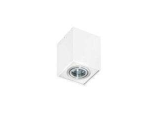 Azzardo потолочный светильник Eloy 1 White цена и информация | Потолочные светильники | pigu.lt