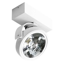 Azzardo потолочный светильник Jerry 1 12 V AZ1364 цена и информация | Потолочные светильники | pigu.lt