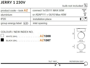 Azzardo светильник Jerry 1 AZ1366 цена и информация | Потолочные светильники | pigu.lt