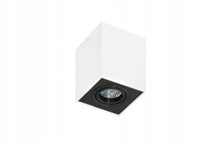 Azzardo lubinis šviestuvas Eloy 1 White/Black kaina ir informacija | Lubiniai šviestuvai | pigu.lt
