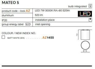 Azzardo lubinis šviestuvas Mateo S White kaina ir informacija | Lubiniai šviestuvai | pigu.lt