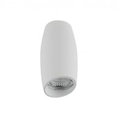 Azzardo потолочный светильник Vasko White цена и информация | Потолочные светильники | pigu.lt