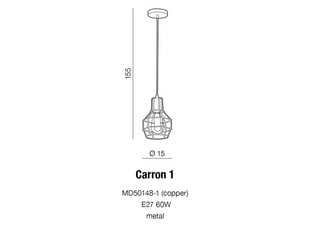 Azzardo подвесной светильник AZ1659 Carron 1 цена и информация | Люстры | pigu.lt
