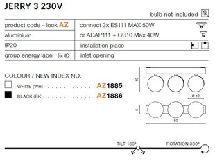Azzardo потолочный светильник AZ1885 Jerry 3 цена и информация | Потолочные светильники | pigu.lt