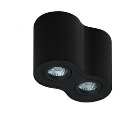 Azzardo потолочный светильник Bross 2 AZ2136 цена и информация | Потолочные светильники | pigu.lt