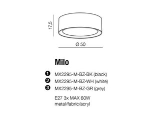 Azzardo потолочный светильник Milo AZ2318 цена и информация | Потолочные светильники | pigu.lt